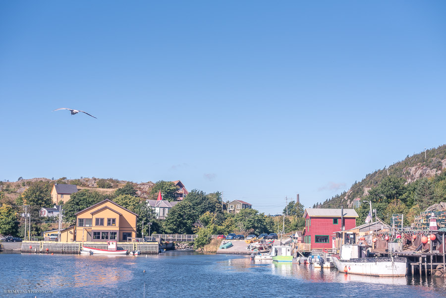 Wedding photos in Quidi Vidi Village Ceremony