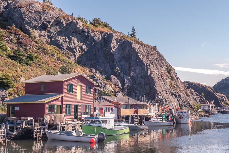 Wedding photos in Quidi Vidi Village Ceremony