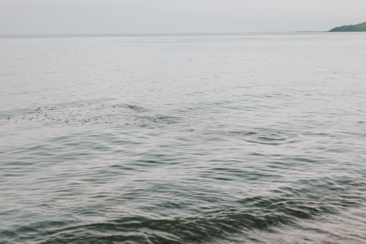 Scarborough Bluffs beach engagement wedding photography