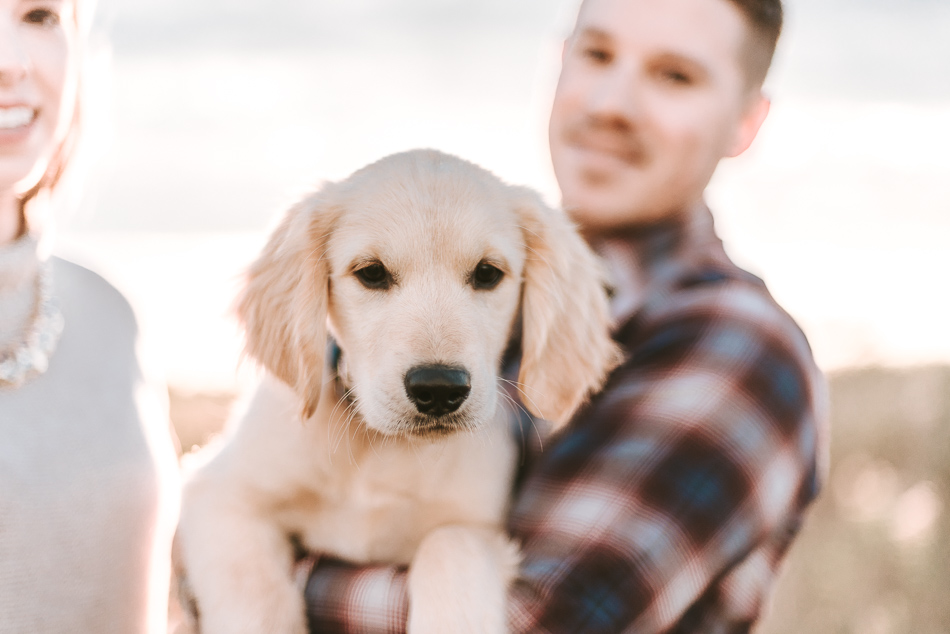 Kitchener Waterloo Puppy Photography Engagement Photos