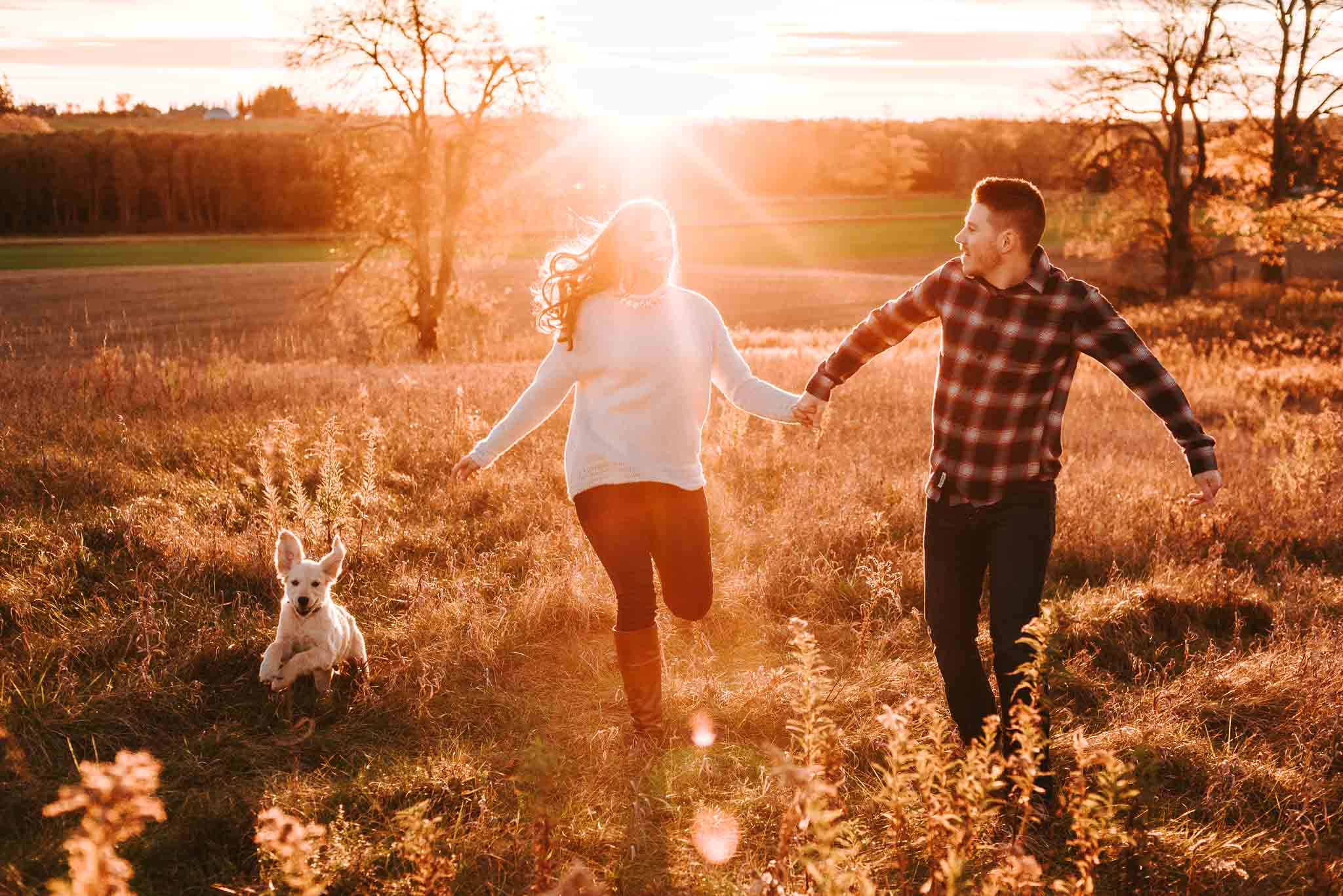 puppy photography kitchener waterloo